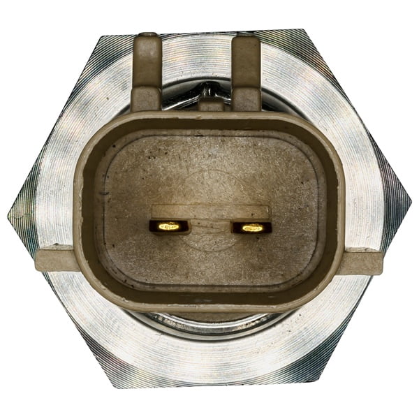 EGR Valve Temperature Sensor