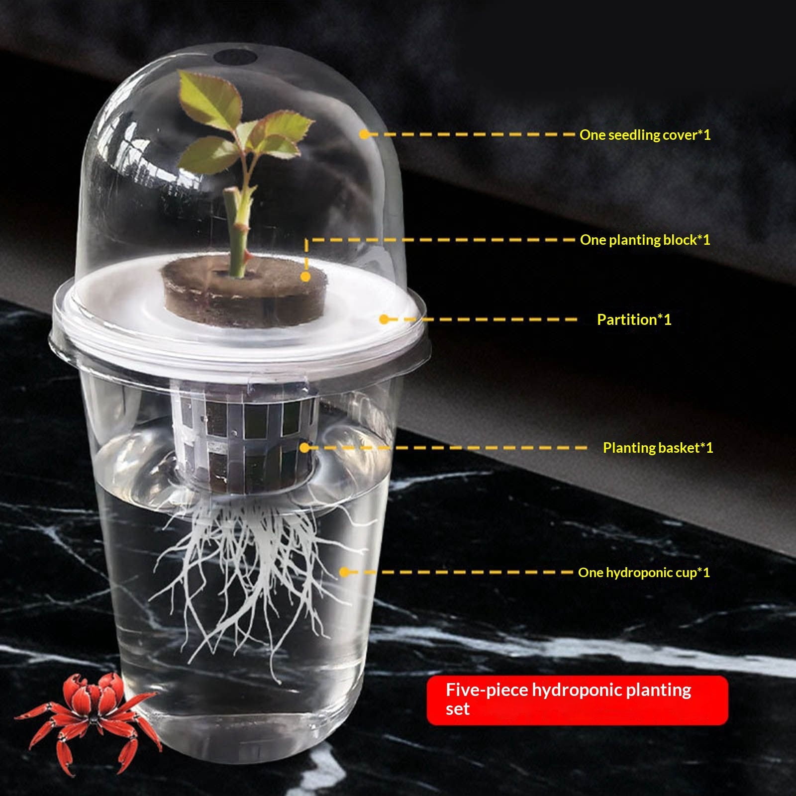 5 Pack Clear Hydroponic Nursery Kit,Transparent Plant Starter Hydroponic Pots for Seed Starting,Hydroponic System for Nursery