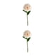 thumbnail image 2 of Cateissary Flor de simulación redonda de aplicación amplia de 10 paquetes/lote para decoración de fiesta o ramo de boda rosa champán rosa champán 2Conjunto, 2 of 6