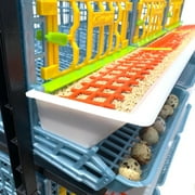 Quail Breeding Cage Indoor: 2 Layer Stackable Quail Coop, Easy Clean, Rust-Free, Easy Egg Collection (2024 Upgrades: Longer Waste Trays, Removable Middle Walls, Traditional Flooring) Cimuka