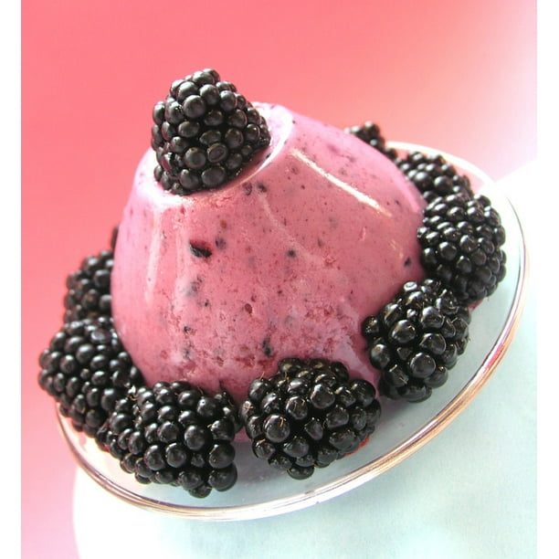 Szederkraƒae A A Aƒa Sa A C M Pudding Dessert Fruit Blackberry Inch By 30 Inch Laminated Poster With Bright Colors And Vivid Imagery Fits Perfectly In Many Attractive Frames Walmart Com Walmart Com