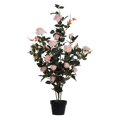 thumbnail image 1 of Plante Rose en Pot 45 Po., 1 of 1