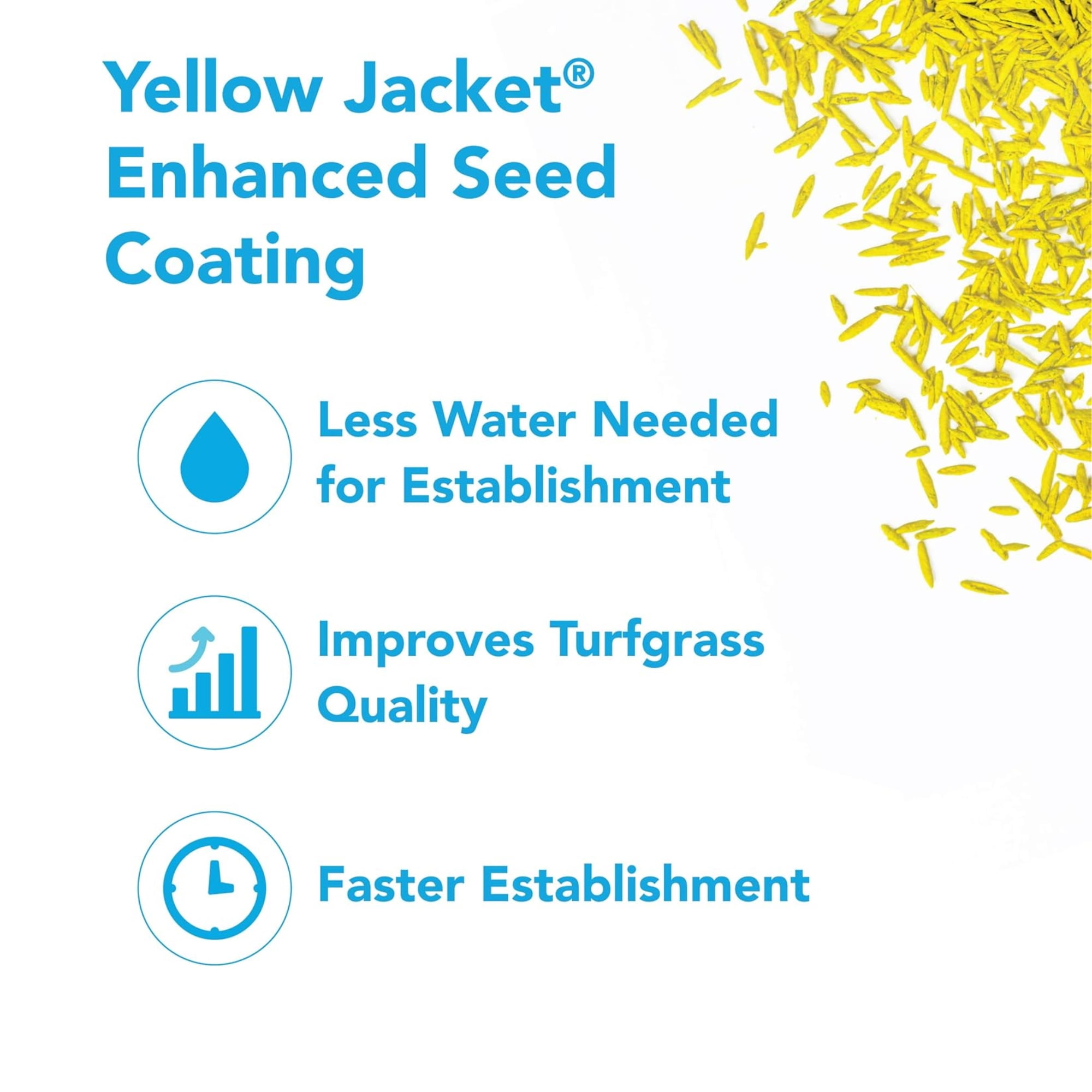 Barenbrug Turf Blue Healthy Grass Technology Lawn Seed Blend with Yellow Jacket Seed Coating, Heavy-Traffic HGT Grass Seed Mix for All Climates, 25lb
