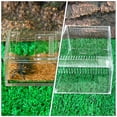 thumbnail image 4 of Acrylic Reptile Raising Box Transparent 1Set 4.13X3.14X2.36In, 4 of 8