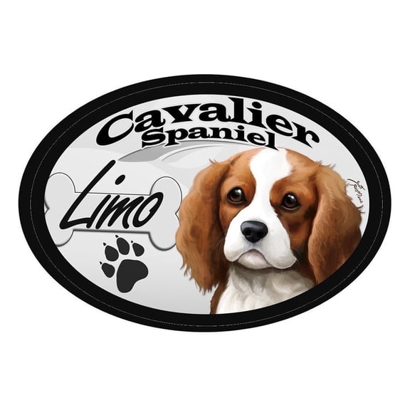 DGS Originals Cavalier King Charles Spaniel Limo Oval Dog Magnet – 6 x 4 in, Full Color