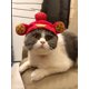 thumbnail image 3 of 1pc New Year Pet Hat Headgear For Cute Cats, Teddy Bears, Pomeranian Dogs Dressing Up Accessory, 3 of 5