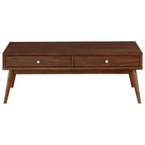 Lexicon Frolic Wood 2 Drawer Coffee Table in Brown