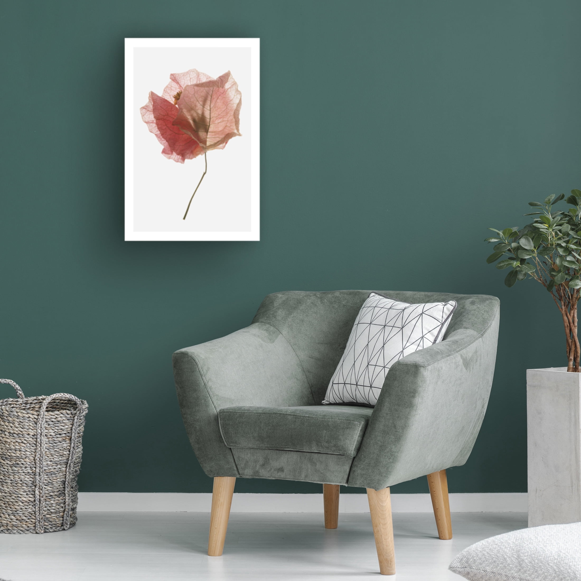 Trademark Fine Art Shot by Clint Bougainvillea Study No2 Canvas Wall Art