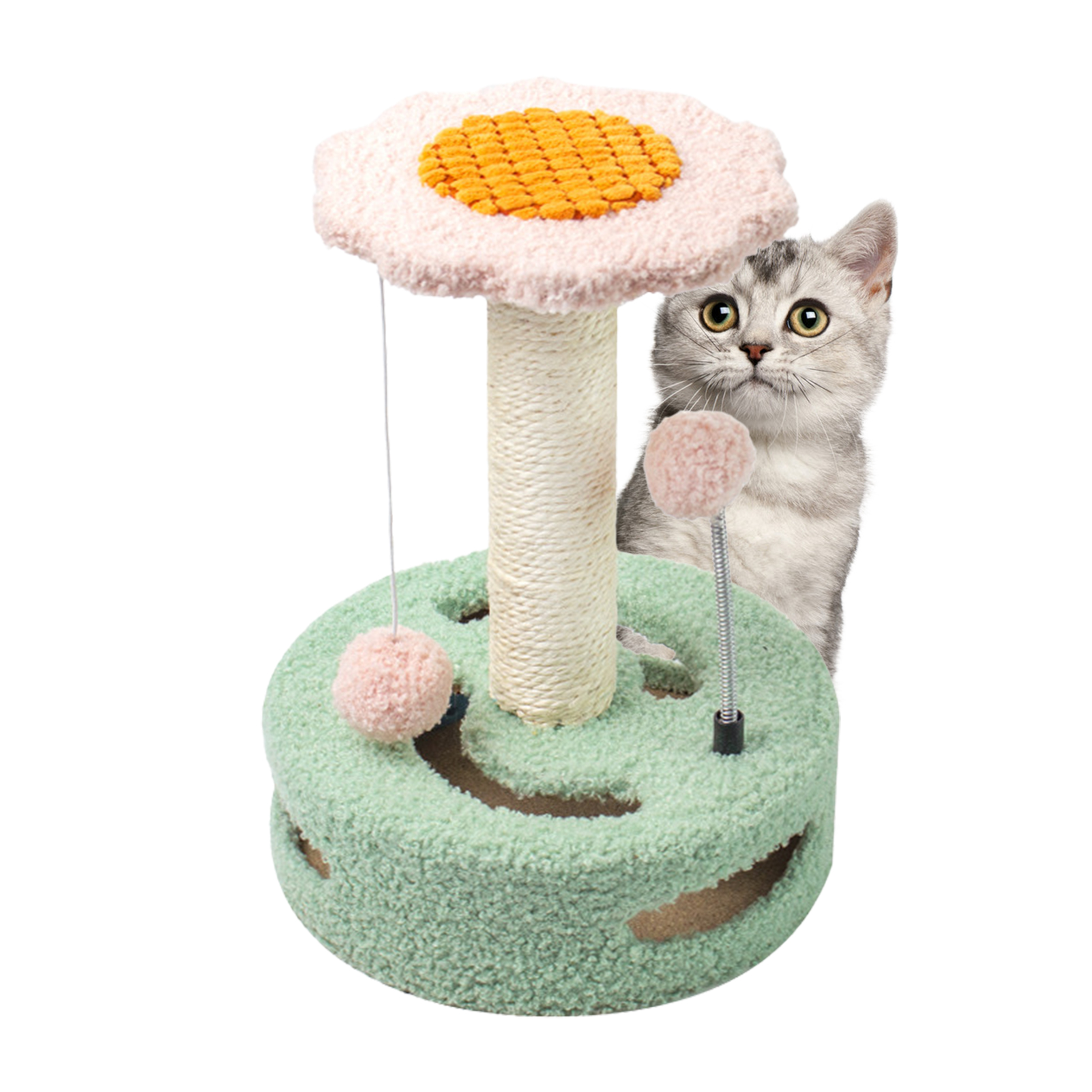 cat play climbing frame
