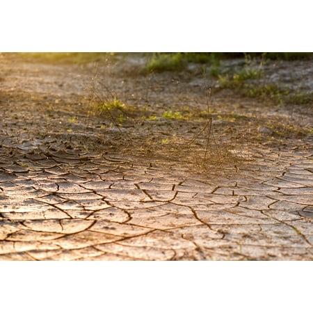 Cracked Desert Floor - LAMINATED POSTER Drought Cracked Ground Dirt Desert Poster Print 24 x 36
