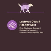 Wellness CORE Digestive Health Age Advantage Senior Dry Dog Food, Wholesome Grain Kibble, Sensitive Stomach, Natural, High Protein, Chicken and Brown Rice Recipe, 24 lb Bag