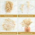 thumbnail image 3 of Dried Babys Breath Flowers,Beige Dried Pressed Flowers Bouquet,50 Pcs 5 in Gypsophila Branches,Dry Babies Flowers Bulk,Long Lasting Flowers for Wedding DIY/Card Making Supplies/Table Vase Decor, 3 of 8