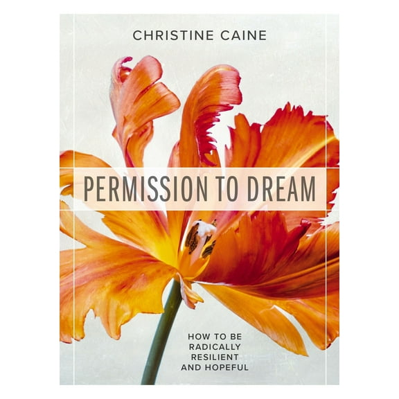 Pre-Owned Permission to Dream: How to Be Radically Resilient and Hopeful (Paperback) 1400336872 9781400336876