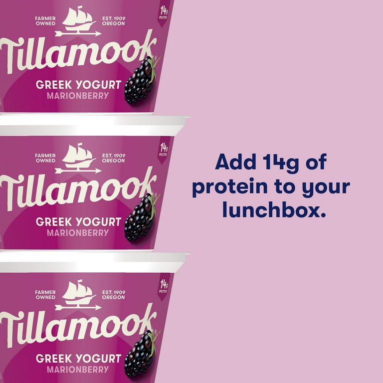 Tillamook Marionberry Greek Yogurt, Blended, 14g Protein per