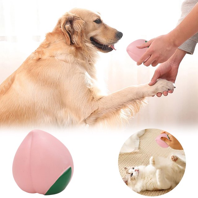 Jouet Interactif pour Chiots et Chiens Adultes Activité de Dentition Intérieure Extérieure