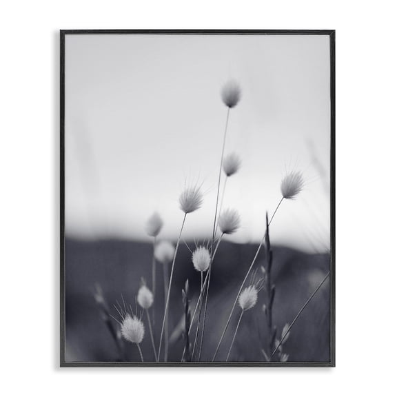 Stupell Industries Farmhouse Country Botanicals Photography Black Framed Giclee Art, 16 x 20, by Sisi and Seb