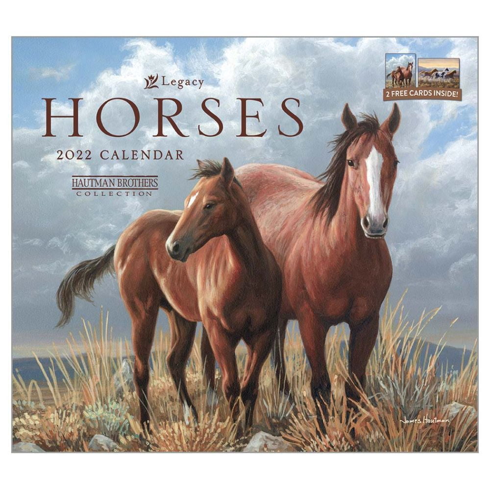 Lang Horses In The Mist 2022 Wall Calendar (22991001917) - Walmart.com
