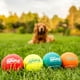 thumbnail image 3 of Juguete para Perro Outward Hound Squeaker Ballz Fetch Grande Pack de 4, 3 of 6