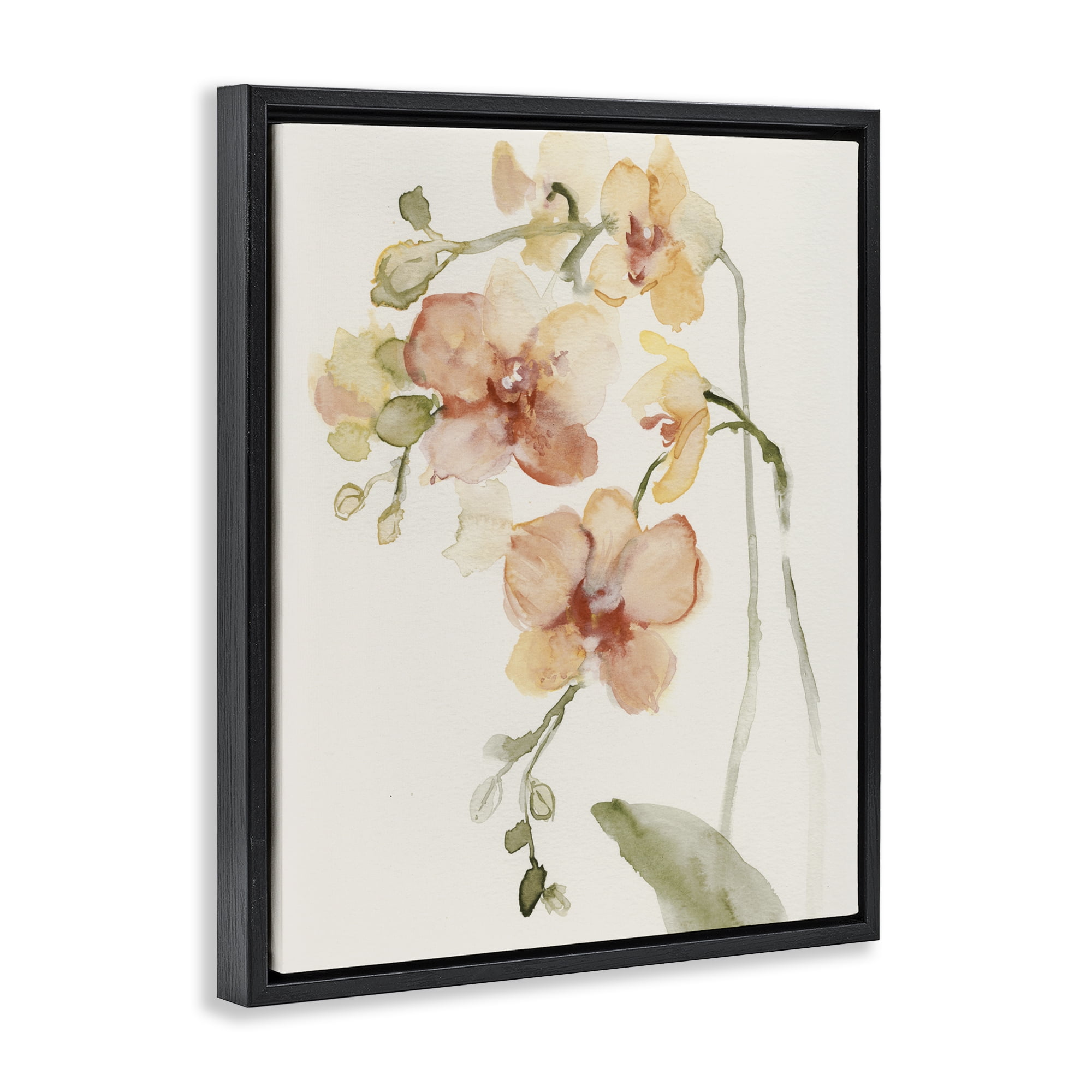 Stupell Industries Peach Orchid in Bloom Black Framed Floater Canvas Wall Art, design by Victoria Barnes