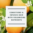 thumbnail image 2 of Herbal Essences Orange Blossom Volume Conditioner, 2 of 9