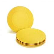 Green Eats 4 Pack Snack Plate Multi-Colored