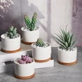 thumbnail image 3 of 30 Pcs Thank You Succulent Plant Gift Set with Ceramic Pots and Bamboo Trays, 3 of 6