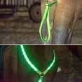 thumbnail image 4 of relayinert LED Cheval Plastron Collier Sûr et Fiable Fait avec Nylon Facile à Nettoyer et à Utiliser Harnais de Cheval LED Rouge 1Set, 4 of 6