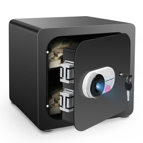 SentrySafe X075 Home Safe with Digital Keypad Lock, 0.78 cu