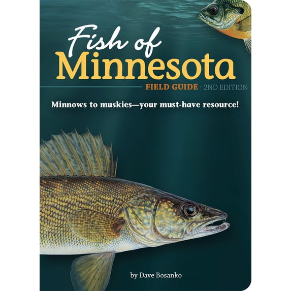 Pre-Owned Fish of Minnesota Field Guide (Paperback) 1591937906 9781591937906