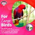 thumbnail image 2 of Super Bird Creations SB319 Katy's ABC Interactive Bird Toy - Durable Chew Toy, Textured ABC Blocks, Safe 'Polly' Rope, Ideal for African Greys Parrots Mini Macaws - Large Bird Size - 15" x 6", 2 of 7