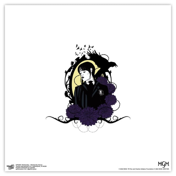 Gallery Pops Wednesday - Wednesday Raven Wall Art, Unframed Version, 12" x 12"