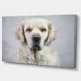 thumbnail image 2 of Triste et Beau Chien - Impression sur Toile d'Animal, 2 of 3
