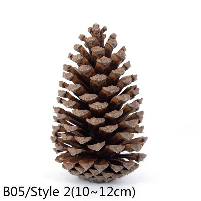 decoración de navidad para el hogar, accesorios de guirnalda de pino natural: cono de pino marrón (10–12 cm), vista frontal centrada con escamas abiertas y textura rugosa, ideal para decoración de Navidad, arreglos secos y proyectos de bricolaje para bodas o centros de mesa.