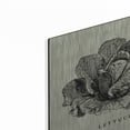 thumbnail image 2 of Luxe Metal Art 'Linen Vegetable BW Sketch Lettuce' by Studio Mousseau, Metal Wall Art, 12"x12", 2 of 7