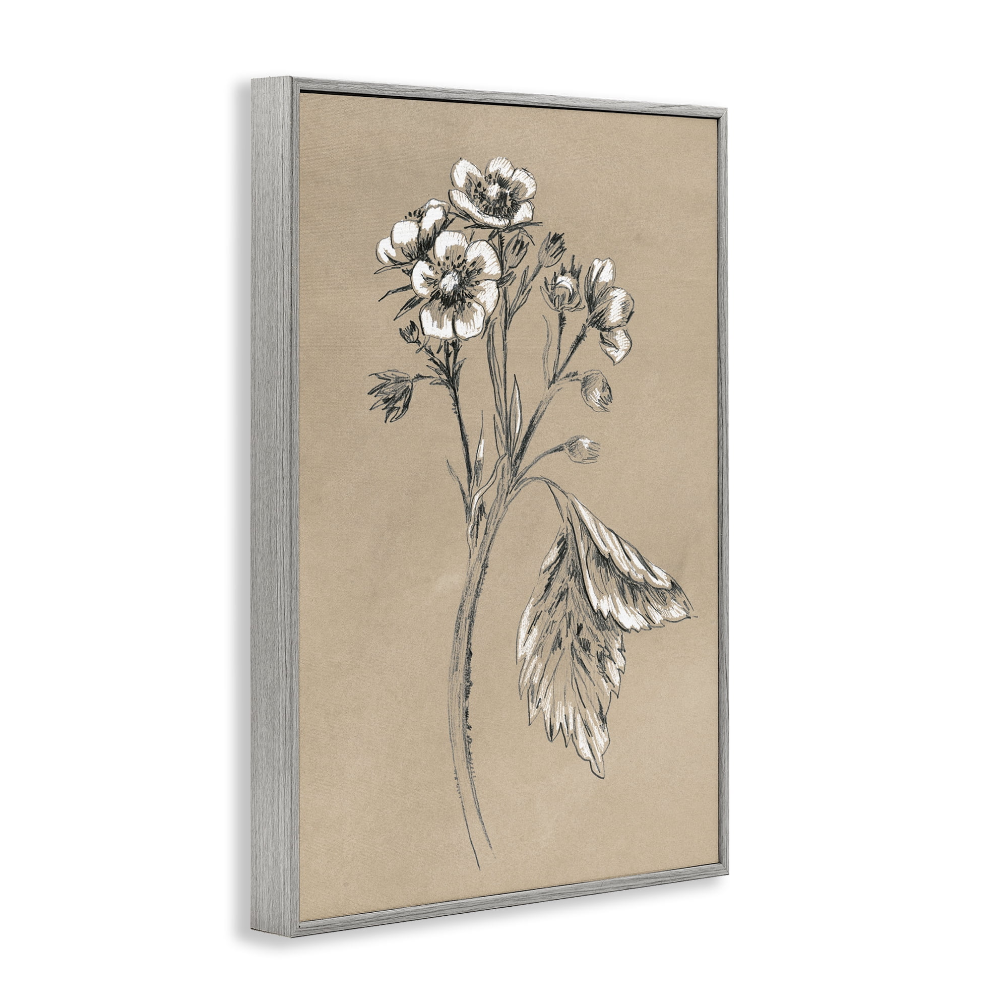 Stupell Industries Flower Sprig Sketch Botanical & Floral Drawing Gray Framed Art Print Wall Art, 12 x 18