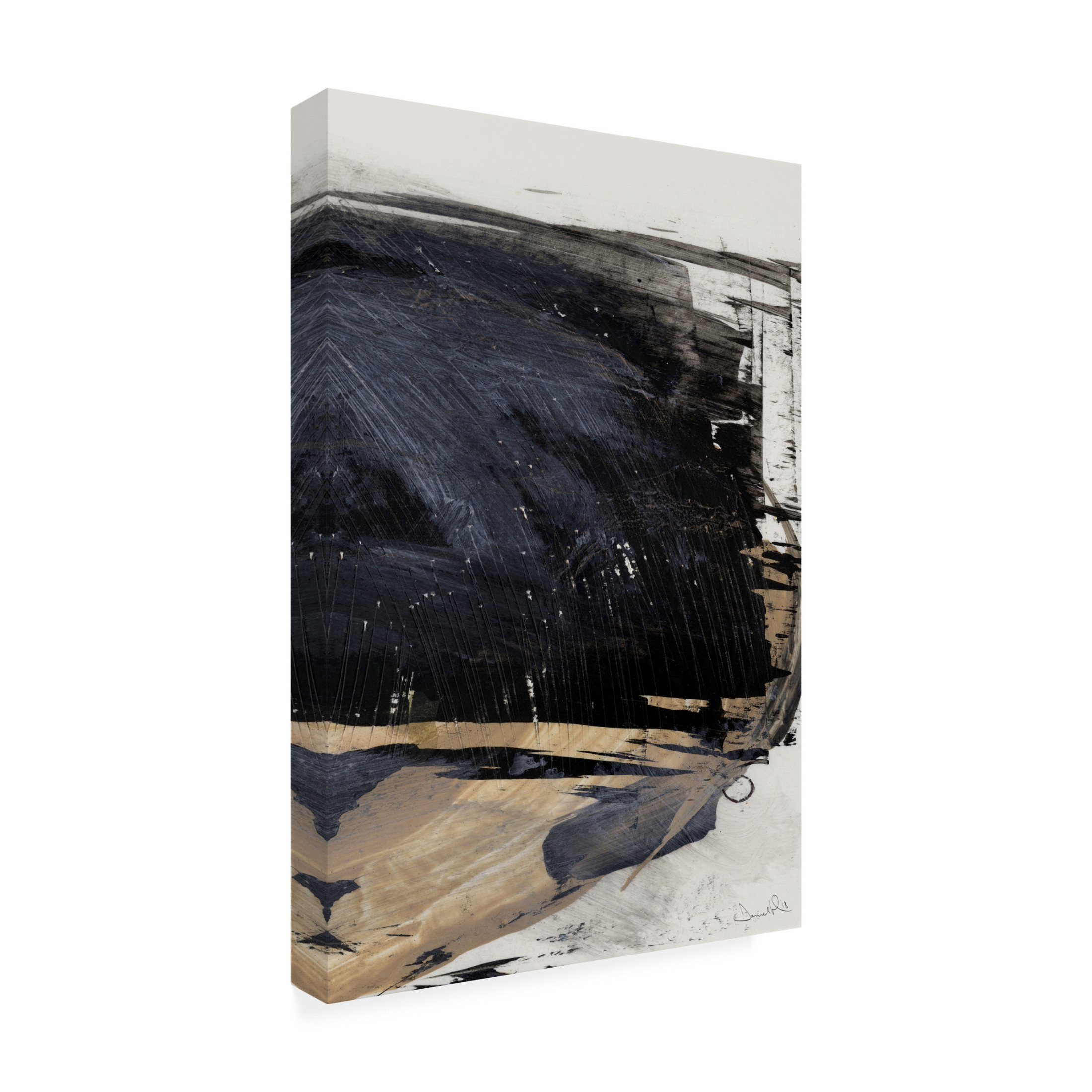 Trademark Fine Art Dan Hobday  Snap No3 Canvas Wall Art