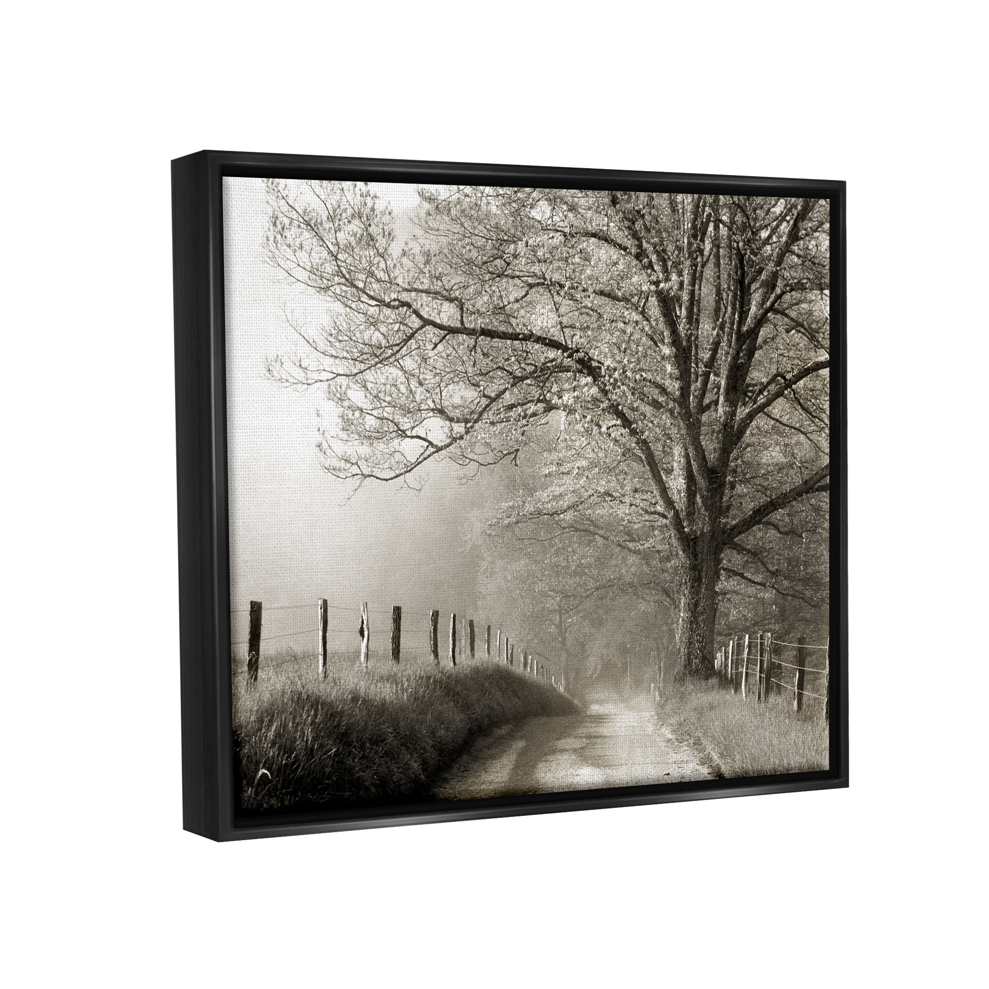 Stupell Rural Scenery Fenced Path Landscape Photography Black Floater Framed Art Print Wall Art