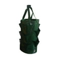 thumbnail image 3 of SPRING PARK Gardens Hanging Planter Growing Bag with Handles Wall Planter Pouch for Strawberry Bare Root Plants, Herbs, 3 of 5