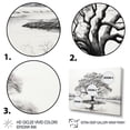 thumbnail image 3 of Designart "White Tree Arboretum horizon II" Landscape Trees Floater Framed Wall Decor, 3 of 7