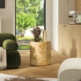 thumbnail image 3 of Nebula 20 inch Accent Oval Pillar Brown Burl Wood Side Table, 3 of 6