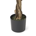 thumbnail image 3 of GDF Studio Wasco Artificial Ficus Tree, 5' x 2.5', Green, 3 of 4