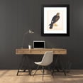 thumbnail image 4 of The Reverend Christopher Atkinson 20x24 Black Modern Framed Museum Art Print Titled - Together with a Portrait of a Hen Harrier, 4 of 5