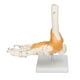 thumbnail image 4 of Anatomical Skeleton Model, High Temperature Resistant Rotatable Professional Flexible Foot Model 1:1 Life Size For Students For Art Reference ANGGREK Otros, 4 of 8