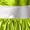 Green, variant on Womens Metallic Shiny Space Suit Flight Skater Dress with Gloves Outfit Alien Robot Silver S
