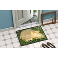 thumbnail image 4 of Carolines Treasures SS8838MAT Paillasson Intérieur Extérieur 18 x 27 Po. Golden Retriever, 4 of 4