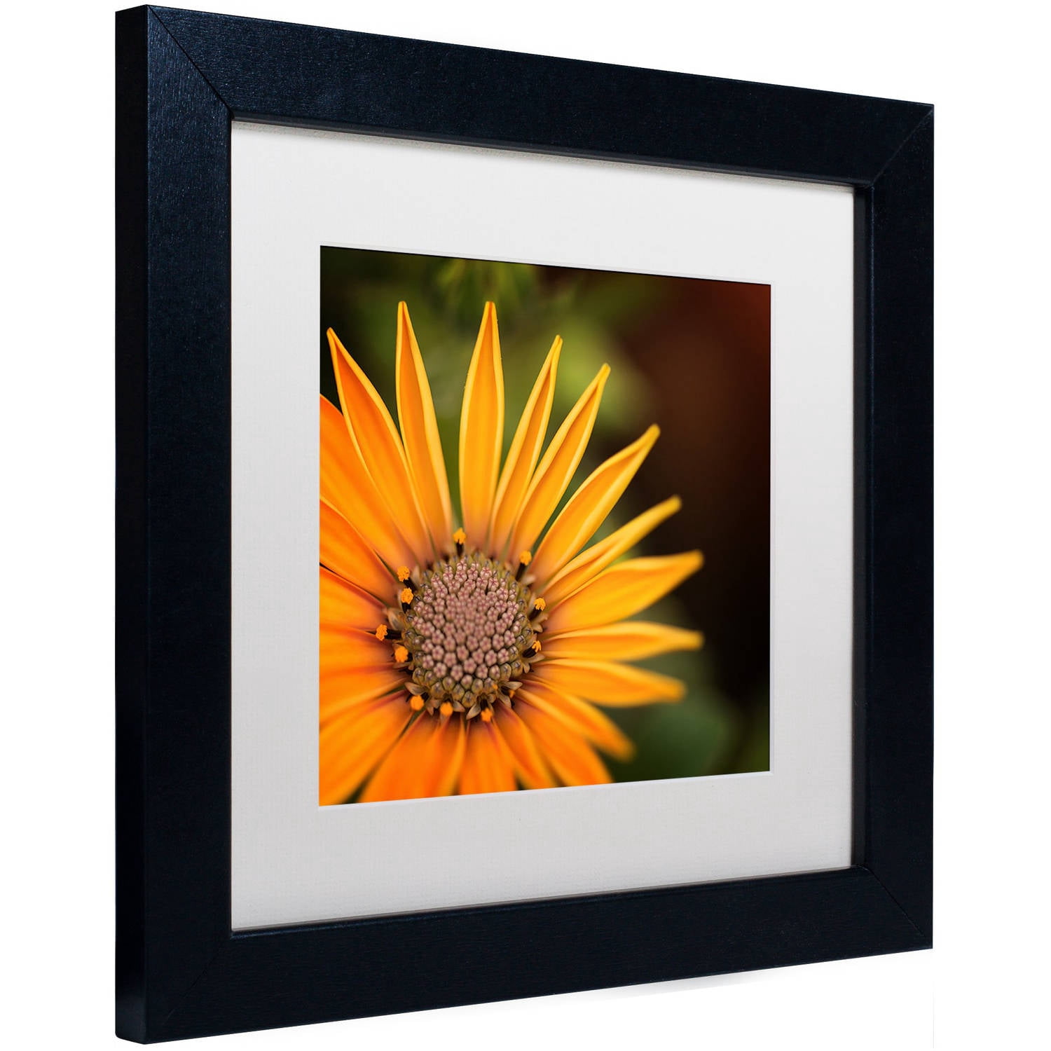 Trademark Fine Art "Everyday" Canvas Art by Philippe Sainte-Laudy, White Matte, Black Frame