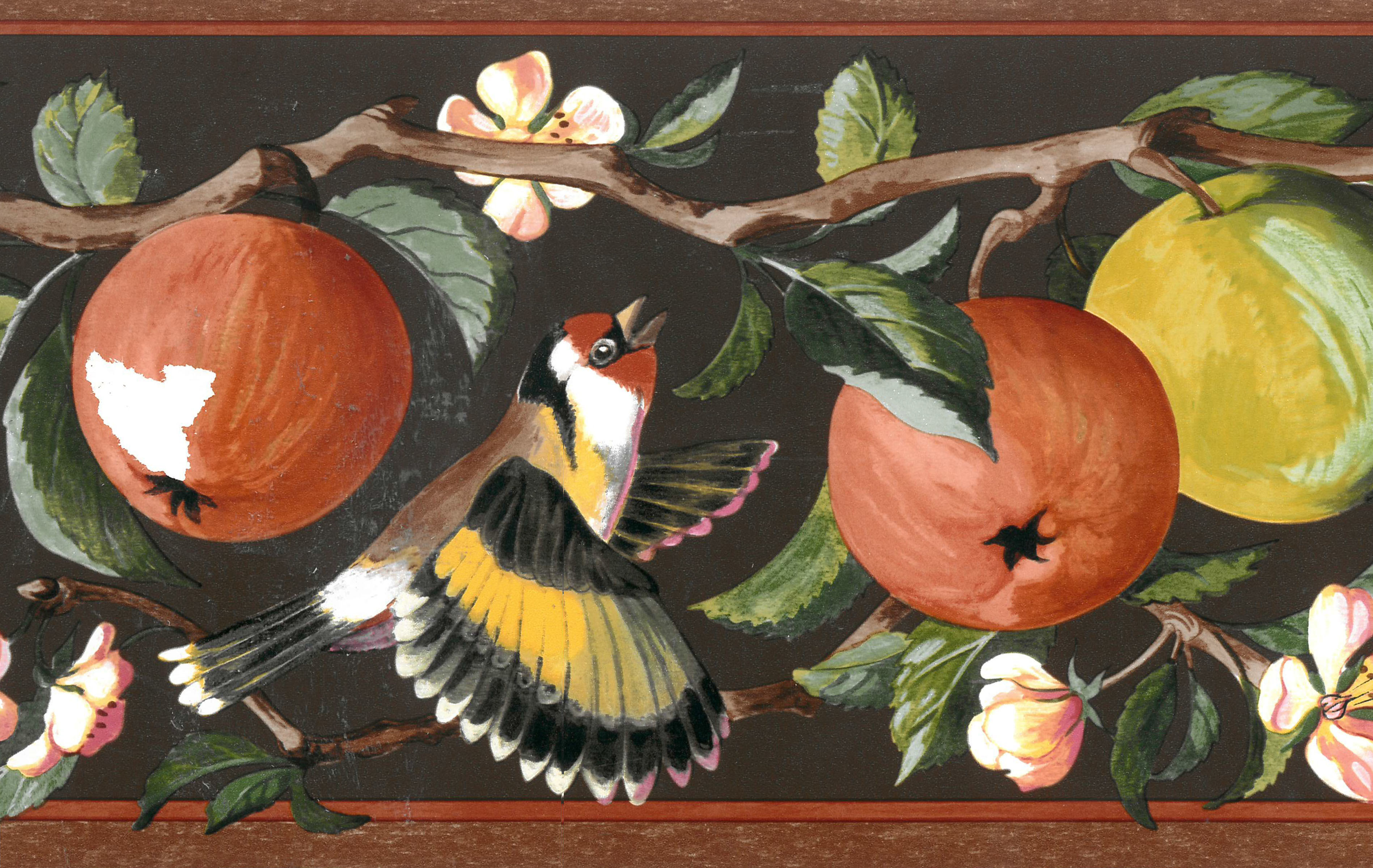Dundee Deco Prepasted Wallpaper Border - Floral Brown, Pink, Green Apples on Vine, Birds, 15 ft x 6.89 in