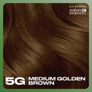 Clairol Natural Instincts Demi-Permanent Hair Color Cream, 5G Medium Golden Brown, Hair Dye, 1 Application