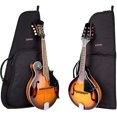 thumbnail image 2 of Protec Mandolin Standard Gig Bag with Backpack Straps, 2 of 5