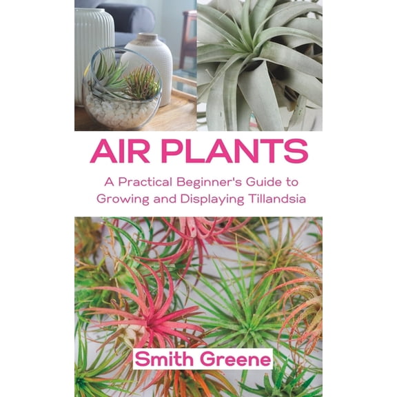 Air Plants: A Practical Beginner's Guide to Growing and Displaying Tillandsia, (Paperback)